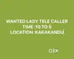 wanted lady office staff