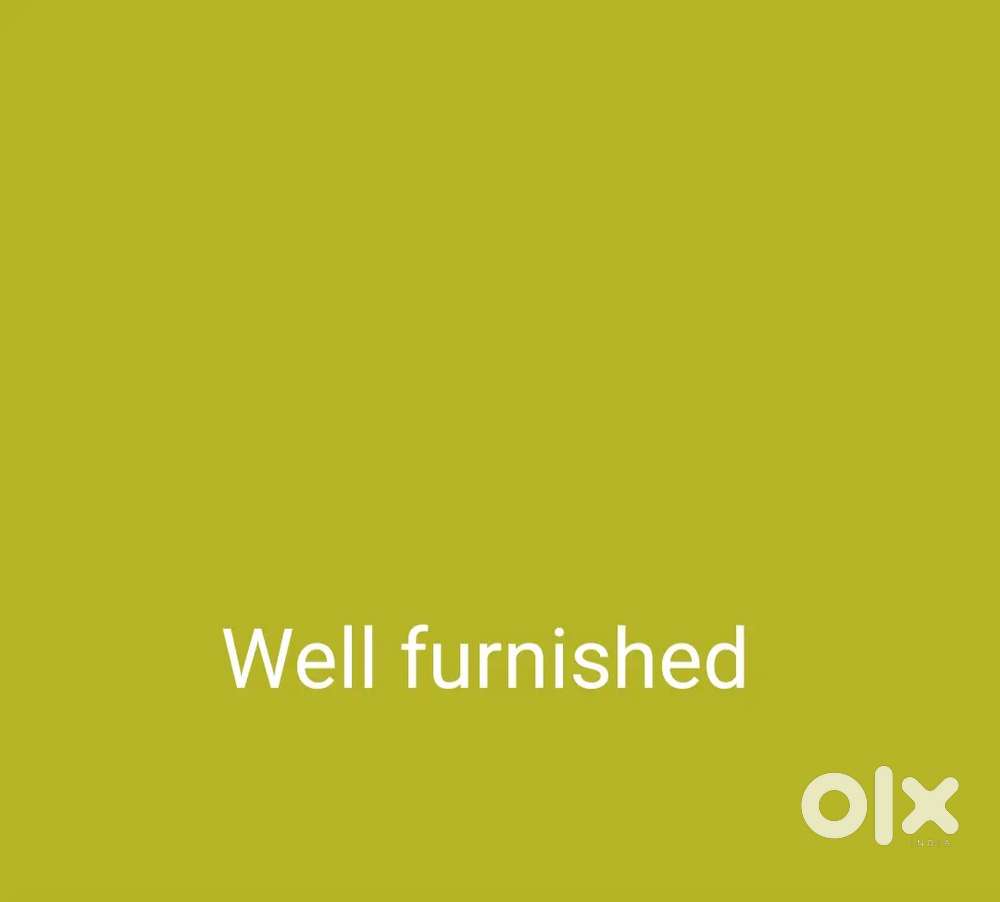 Req a girl room mate job or study base