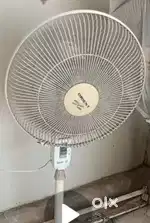 Pedal Fan - orient company