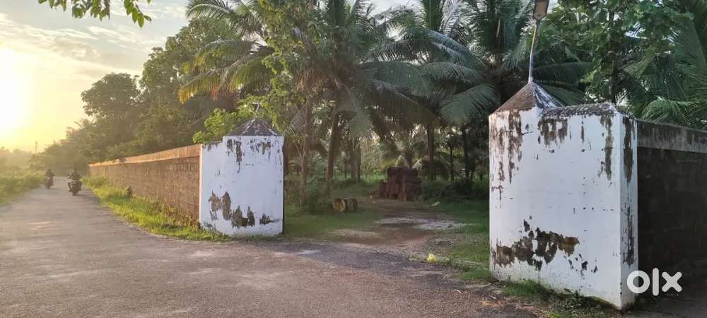 Kolam 13 Acre