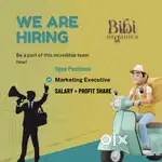 Sales marketing and brand introducing