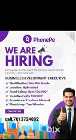 Phone pe private limited