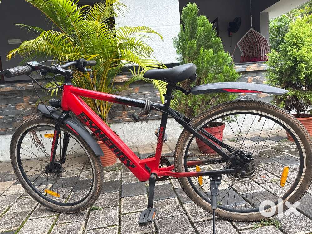 Synergy electric cycle