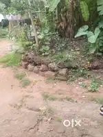 12 cent plot for sale,3lakh for 1 cent,price is negotiable