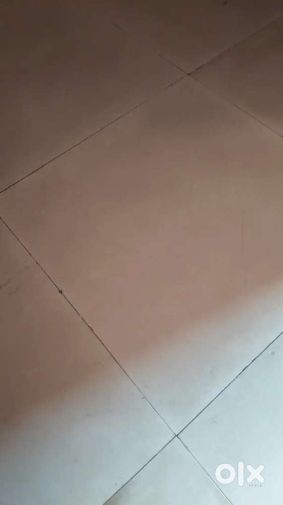 Need room mate only for office/ bachlor