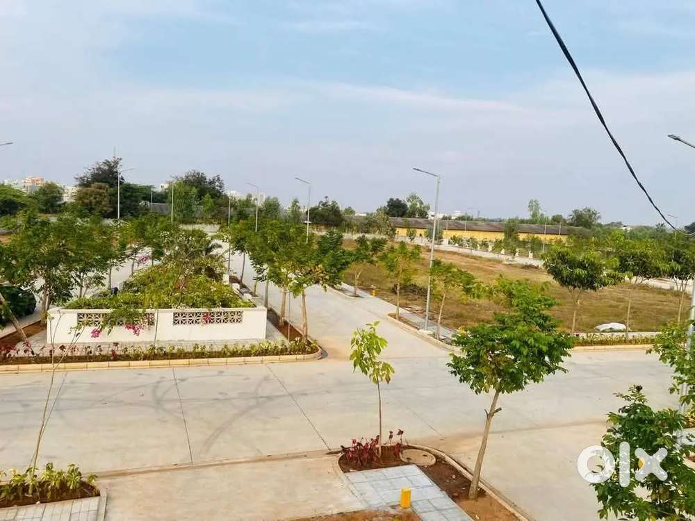 लखनऊ तेलीबाग वृंदावन के निकट प्लांट ले पर रिंग रोड से लगे हुए