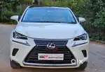 Lexus NX lexus-nx-300h-luxury, 2019, Petrol