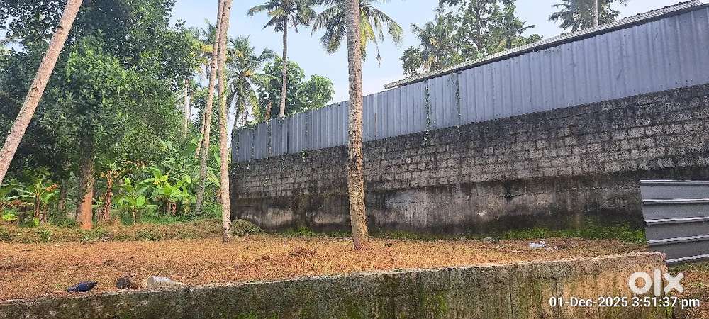 5 cents Beautiful plot for sale near Alamcodu jn