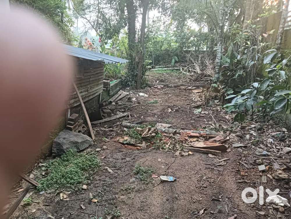 24 cent squer plot,tar road frontage,bus route3.5kmfrom Kottayam town