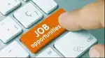 Assistant Manager cum In-charge