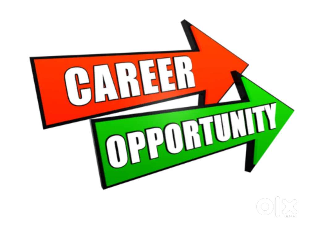 This is digital marketing opportunity. No required qualifications