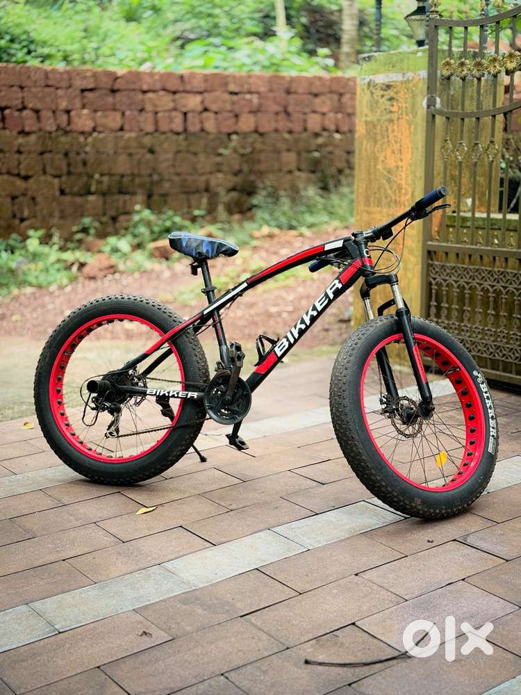 BIKKER fat tyre cycle