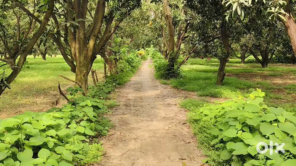मार्केट से कुछ दूर पर लिंक रोड से बिल्कुल लगा हुआ है  जमीन खरीदे