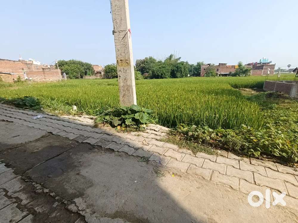Man marcket plot for sell purana Thana ke pass hai bhabhua ward nu 21
