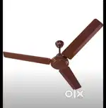 Celling fans