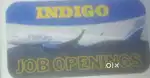 Hiring department ground staff and ticket checking