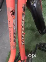 Kross bicycle