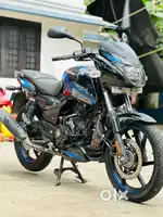 Bajaj Pulsar Twin Disc Single Ownership