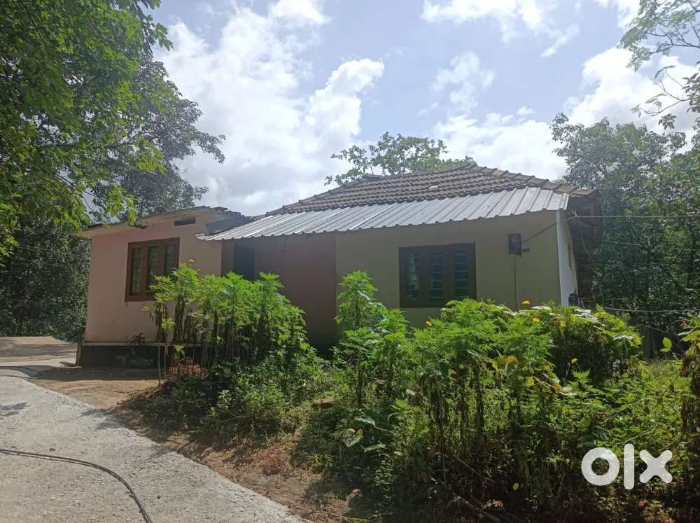 55 cent land & House Sale