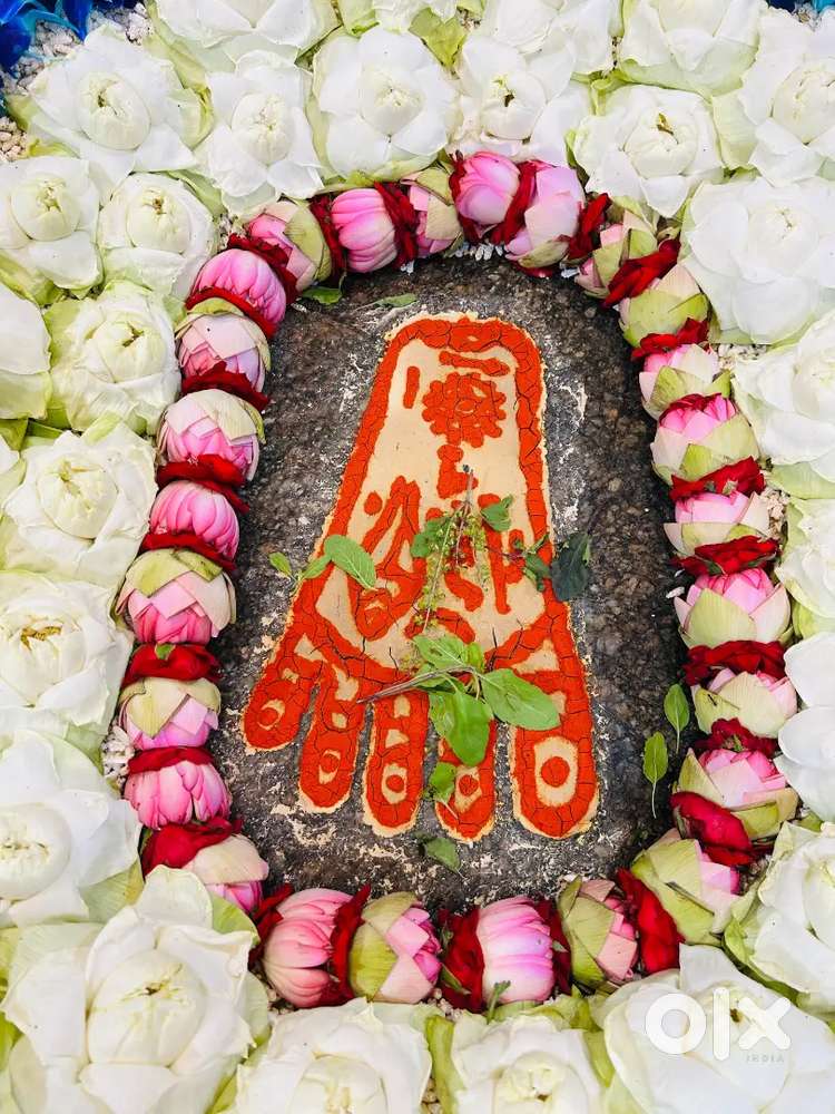 फैमिली वाले ही sms करे