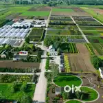 100Acer Farm + Quarry +Crusher For Sale in Thirunalveli