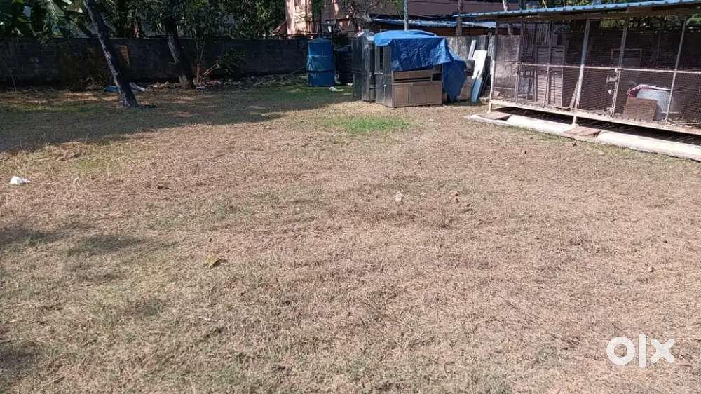 8.8 cent land for sale vanchiyoor. 75 m from main road
