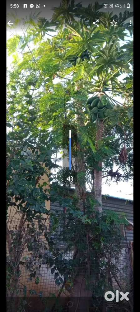 सिंगल रूमभाड्याने देने आहे मोरवाडी सिडको नाशिक