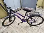 COSMIC EVA 26INCH