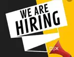 Wanted sales person