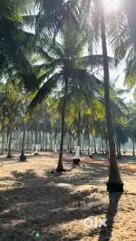 Farm Land (ECR) Marakkanam