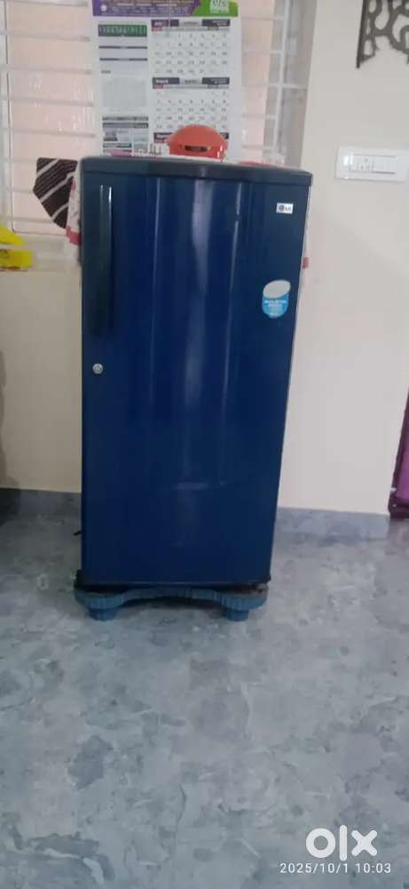 Fridge electronic
