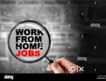 Fresher/Experienced/Back Office/Customer Executive Are Needed.