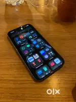 iPhone 16 256 GB