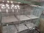 Birds cage