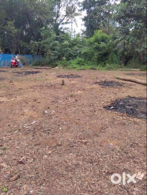 4.75 sqare plot for sale near kodungallur , trissur