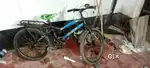 Bicycle dlx