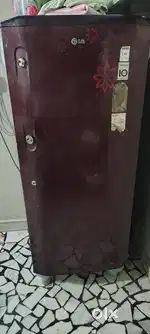 LG Company Fridge