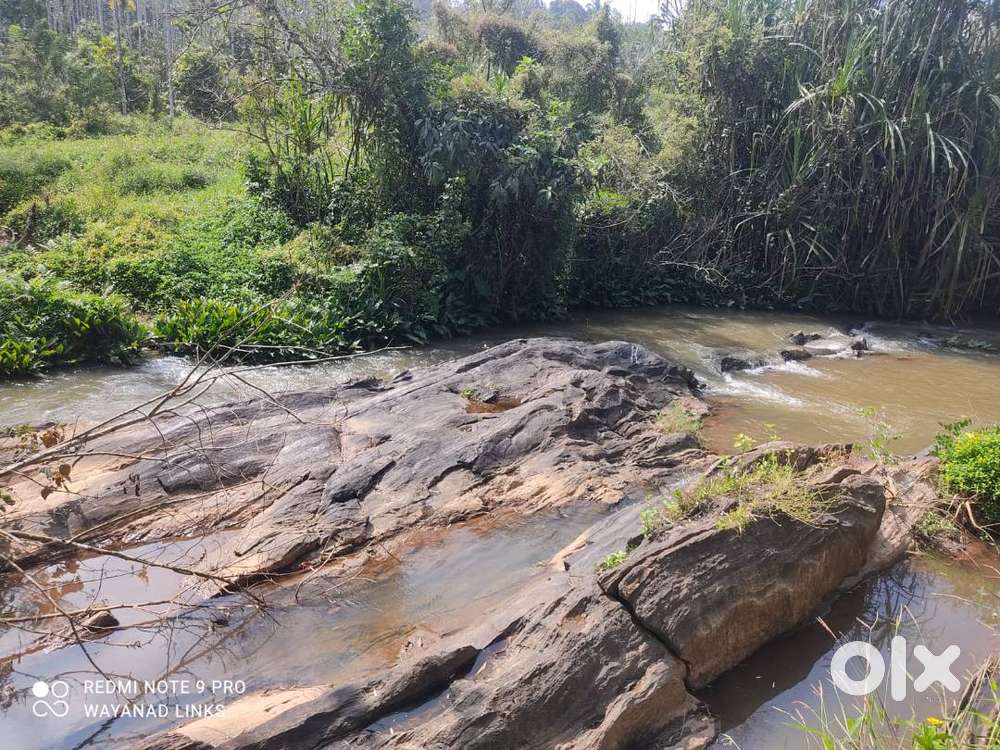 1 Acre River & Paddy View Plot- Koleri Wayanad