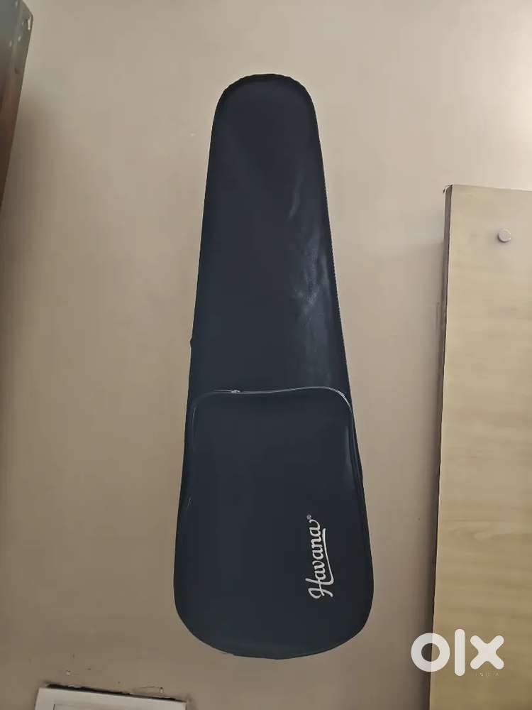 Havana company violin