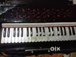 Harmonium jarman reeds