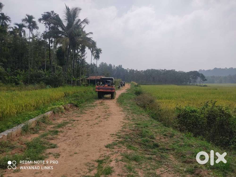 4 Acre Riverfront Paradise in Pakkam Wayanad  Forest View