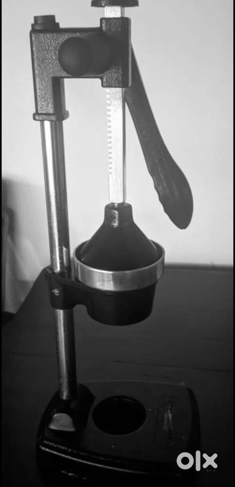 Hand press juicer