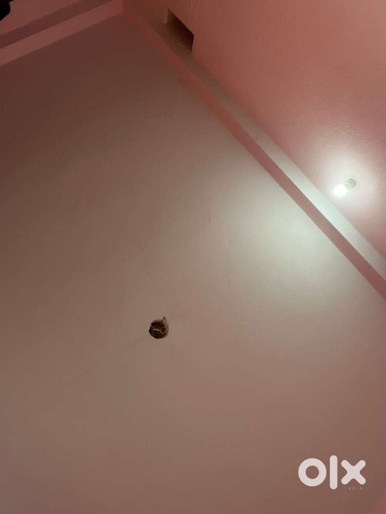 1 room common bathroom