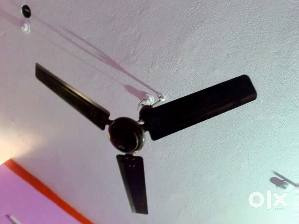 Ceiling fan