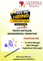 Sales manager, collection manager