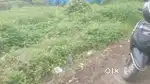 5cent plot near SN college cherthala