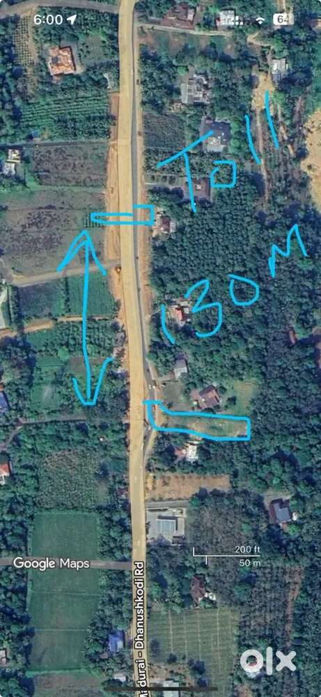 48. 50 cent nelikuzhy