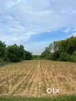 Ittki road genral plot
