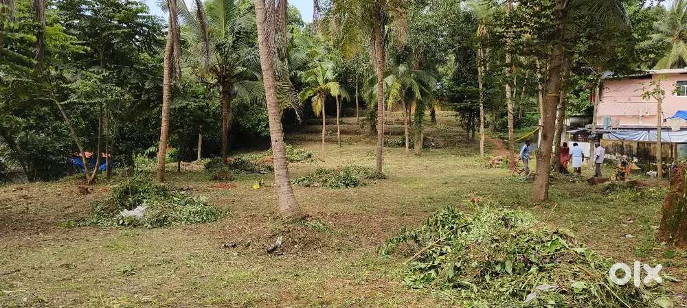 സ്ഥലം വിൽപ്പനയ്ക്ക്