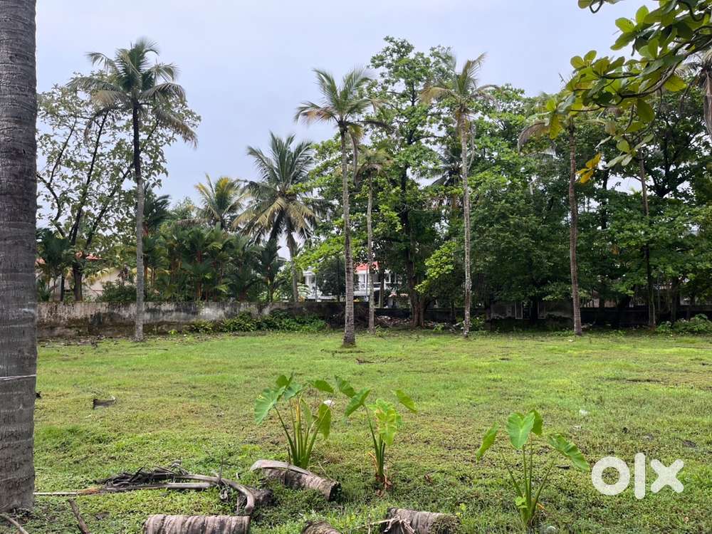 Land sale in kumaranasan nagar